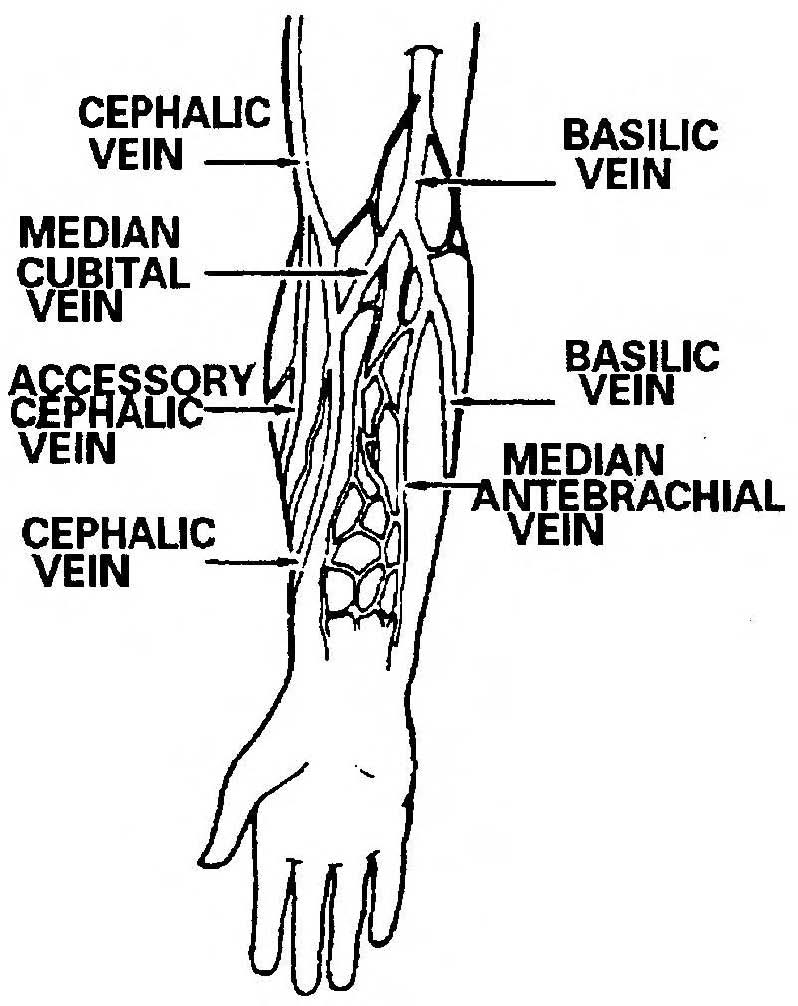 antecubital-antecubital