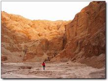 卡拉哈里沙漠 卡拉哈里沙漠